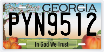 GA license plate PYN9512