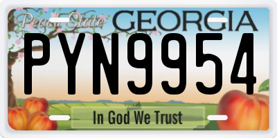 GA license plate PYN9954