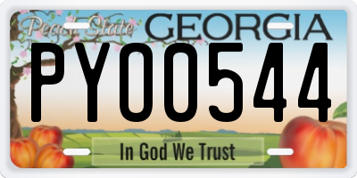 GA license plate PYO0544