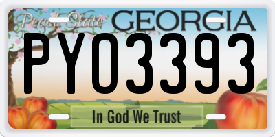 GA license plate PYO3393