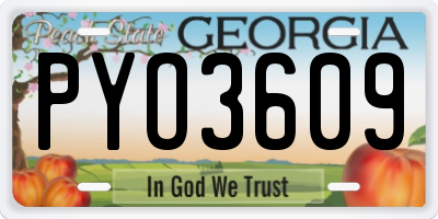 GA license plate PYO3609