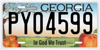 GA license plate PYO4599
