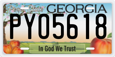 GA license plate PYO5618