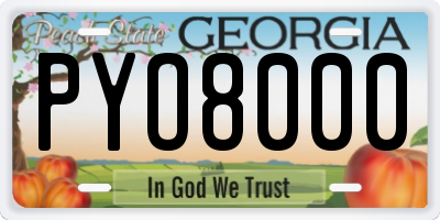 GA license plate PYO8000