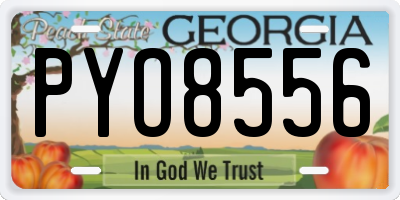 GA license plate PYO8556