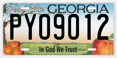 GA license plate PYO9012