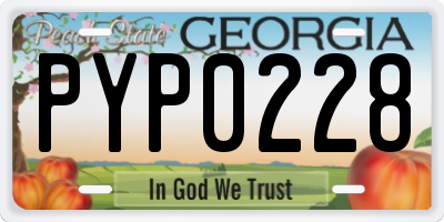 GA license plate PYP0228