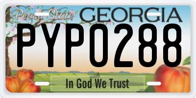 GA license plate PYP0288