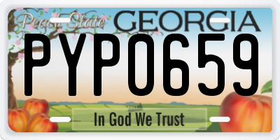 GA license plate PYP0659