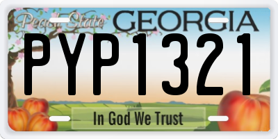 GA license plate PYP1321