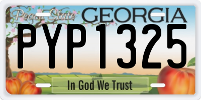 GA license plate PYP1325