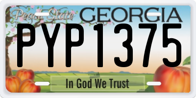 GA license plate PYP1375