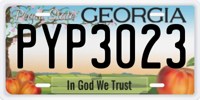 GA license plate PYP3023