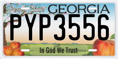 GA license plate PYP3556