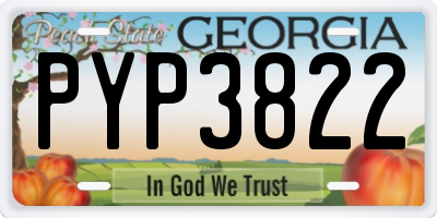 GA license plate PYP3822