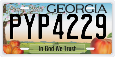 GA license plate PYP4229