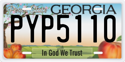 GA license plate PYP5110