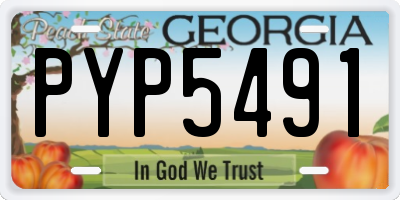 GA license plate PYP5491