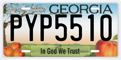 GA license plate PYP5510
