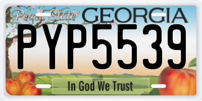 GA license plate PYP5539