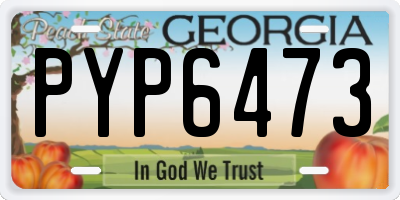 GA license plate PYP6473