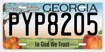 GA license plate PYP8205