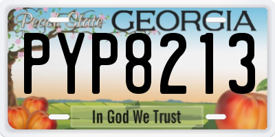 GA license plate PYP8213