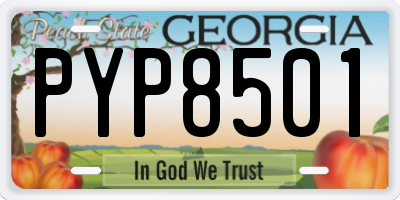 GA license plate PYP8501