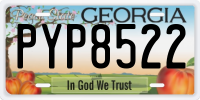 GA license plate PYP8522