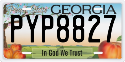 GA license plate PYP8827