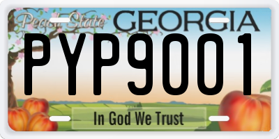 GA license plate PYP9001