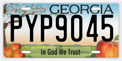 GA license plate PYP9045