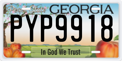 GA license plate PYP9918