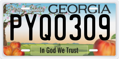 GA license plate PYQ0309