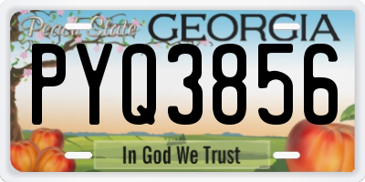 GA license plate PYQ3856