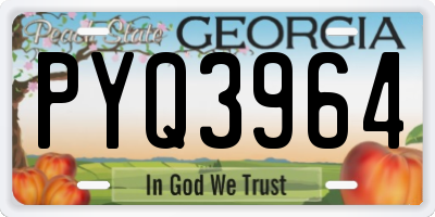 GA license plate PYQ3964