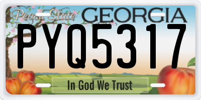 GA license plate PYQ5317