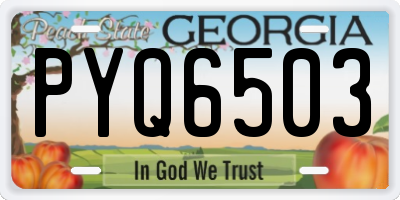 GA license plate PYQ6503