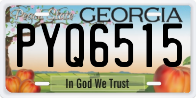 GA license plate PYQ6515