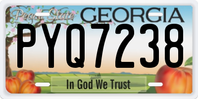GA license plate PYQ7238