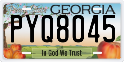 GA license plate PYQ8045
