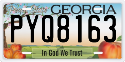 GA license plate PYQ8163