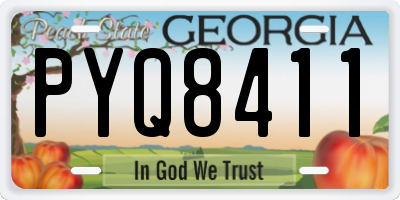 GA license plate PYQ8411
