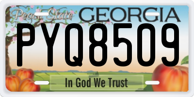 GA license plate PYQ8509