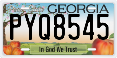GA license plate PYQ8545