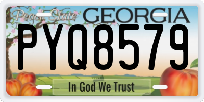 GA license plate PYQ8579