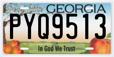 GA license plate PYQ9513