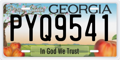 GA license plate PYQ9541