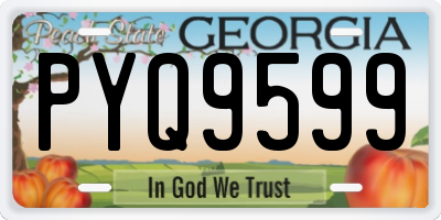GA license plate PYQ9599