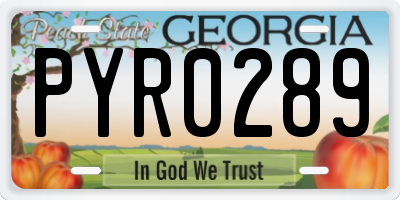 GA license plate PYR0289